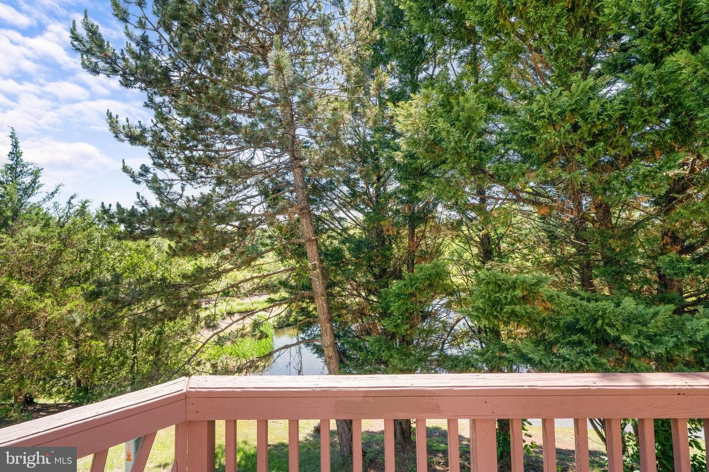 7034 Rogue Forest Lane photo 12