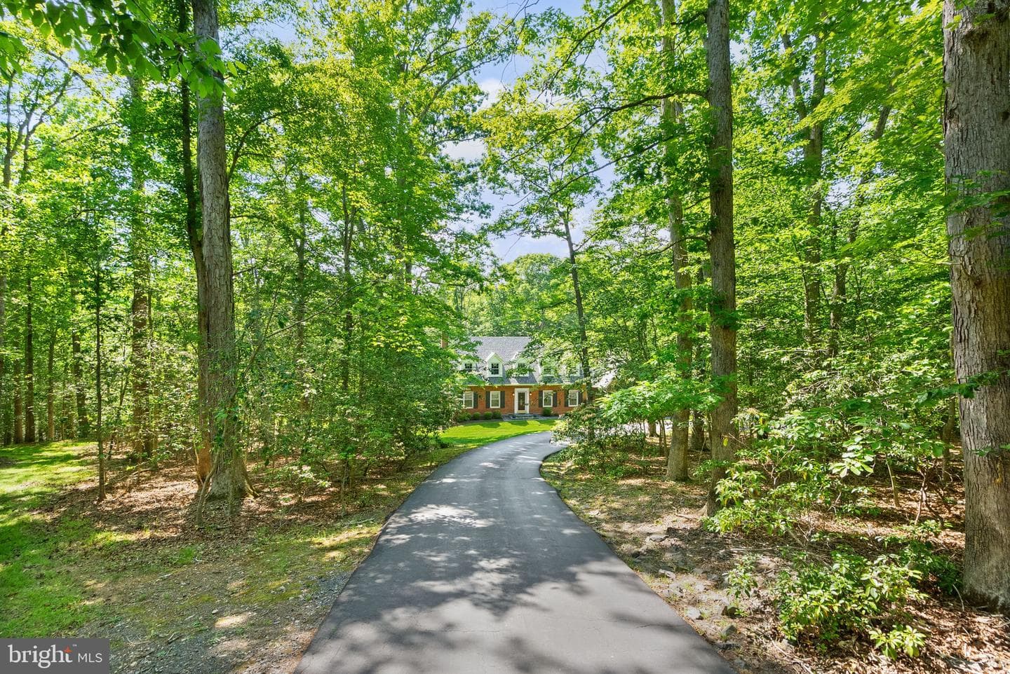4924 Wood Lilly Court photo 5