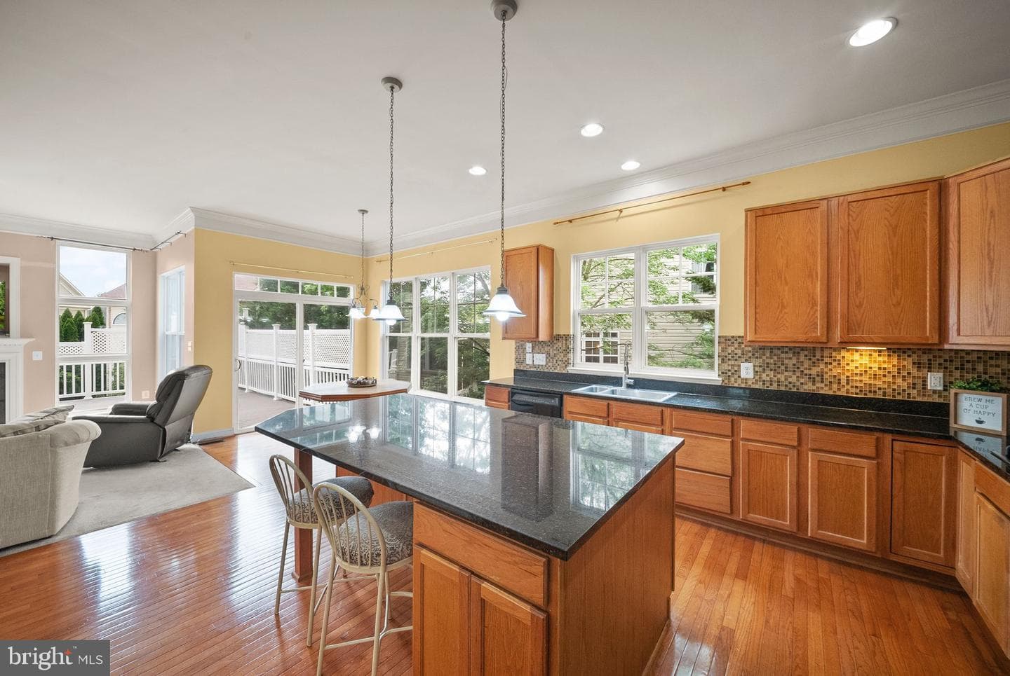 12429 Calypso Falls Way photo 14