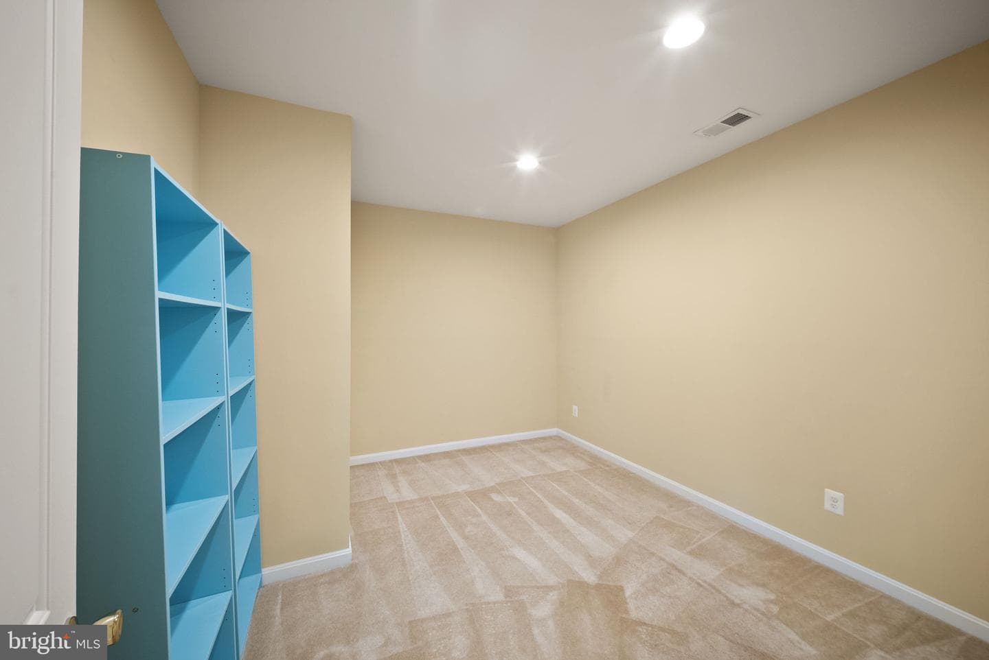 12429 Calypso Falls Way photo 47
