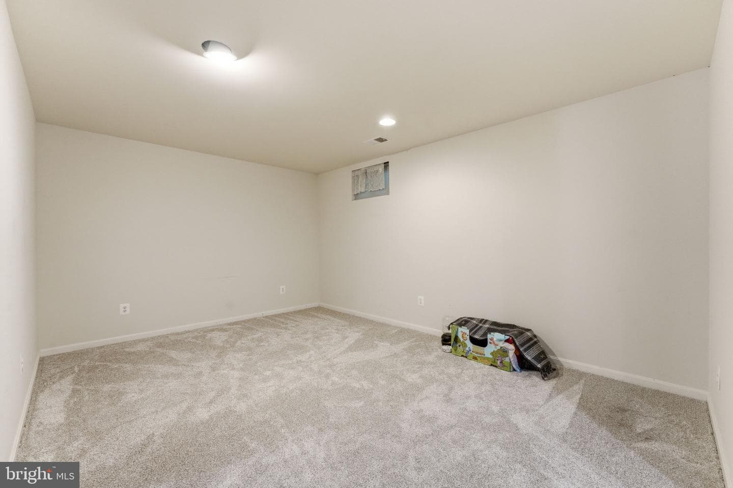 12034 Lake Dorian Drive photo 53