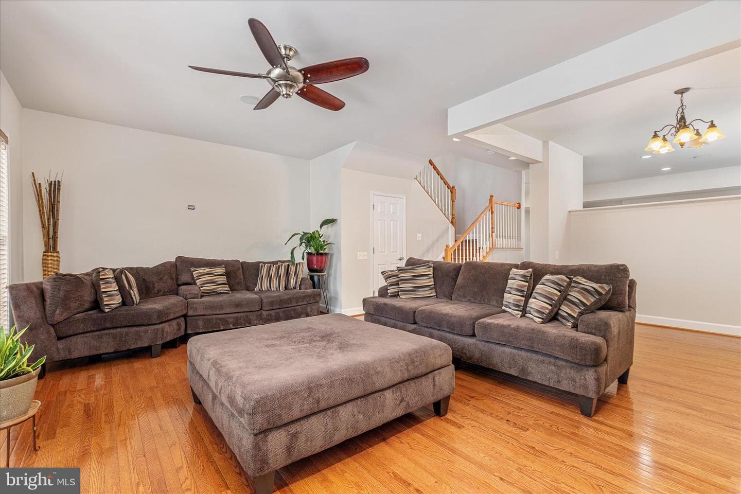2158 Oberlin Drive photo 5