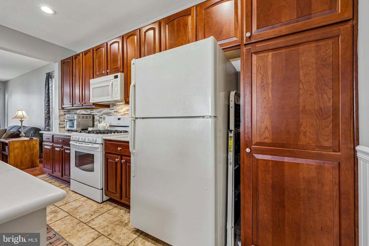 12020 Valcour Island Way photo 12