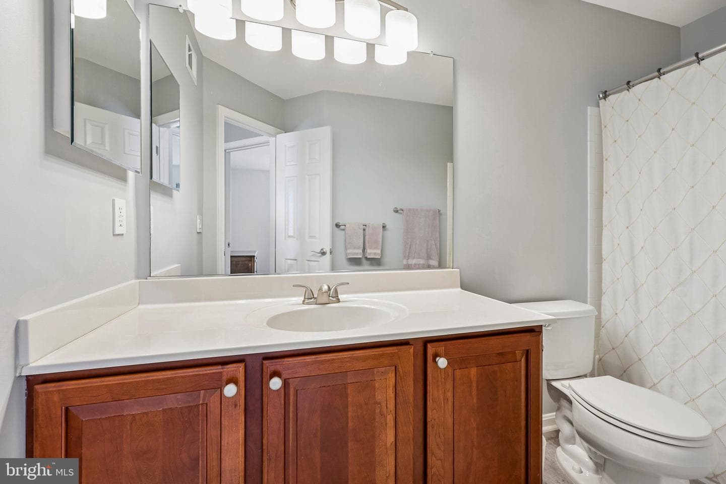 12020 Valcour Island Way photo 38