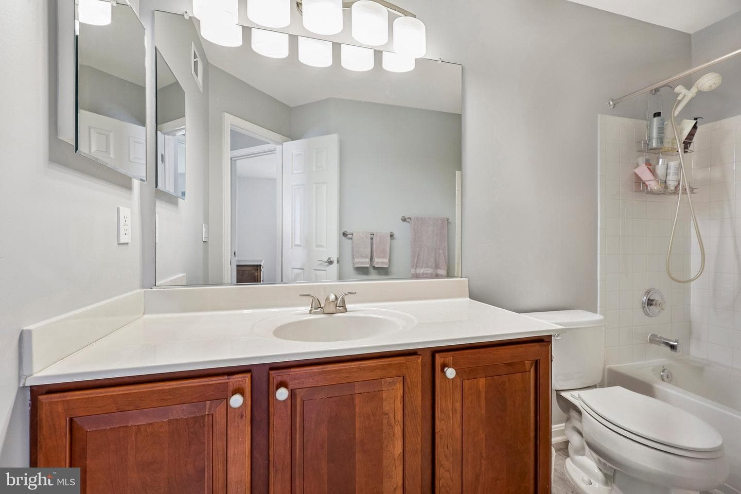 12020 Valcour Island Way photo 39