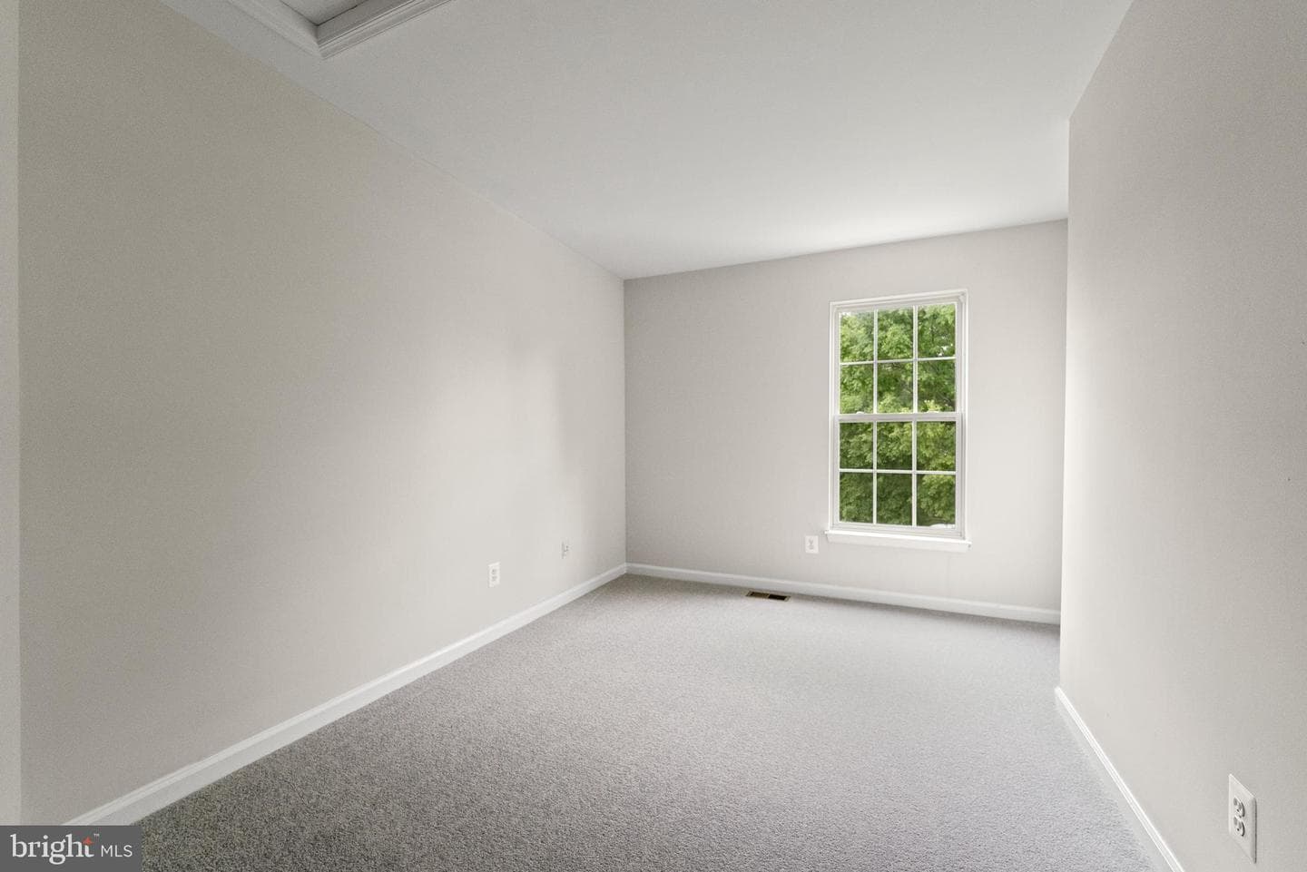 9556 Ballagan Court photo 17