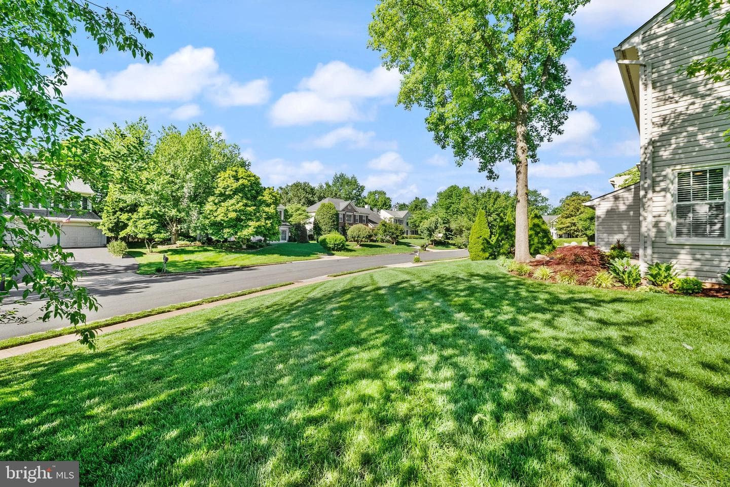8190 Lone Oak Court photo 5