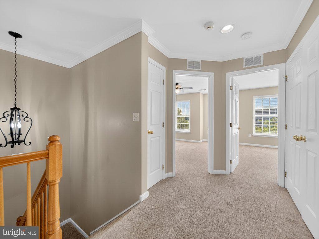 17507 Cajun Court photo 27