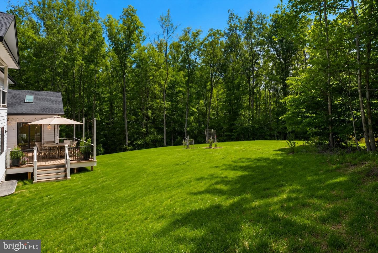 11314 Scott Peters Court photo 46