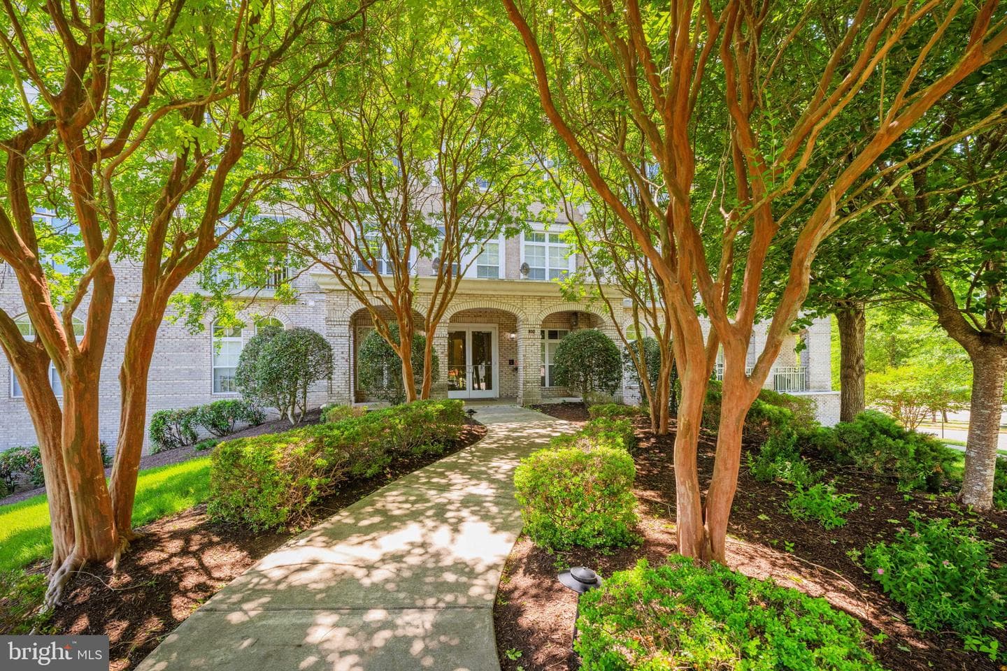 810 Belmont Bay Drive #201 photo 3