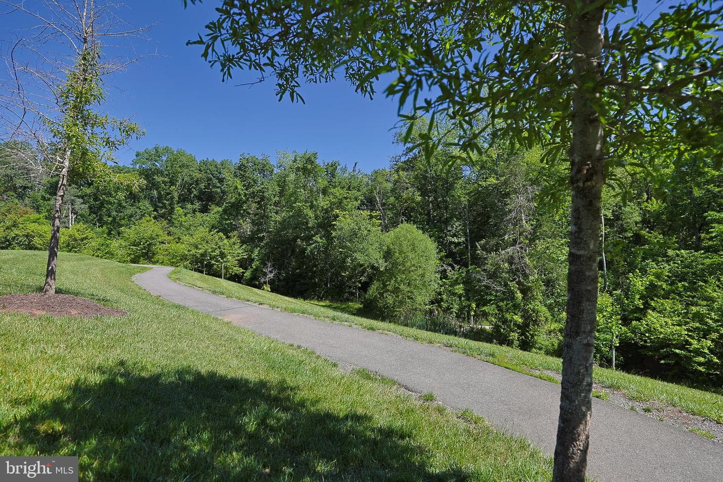 15290 Westham Court photo 10