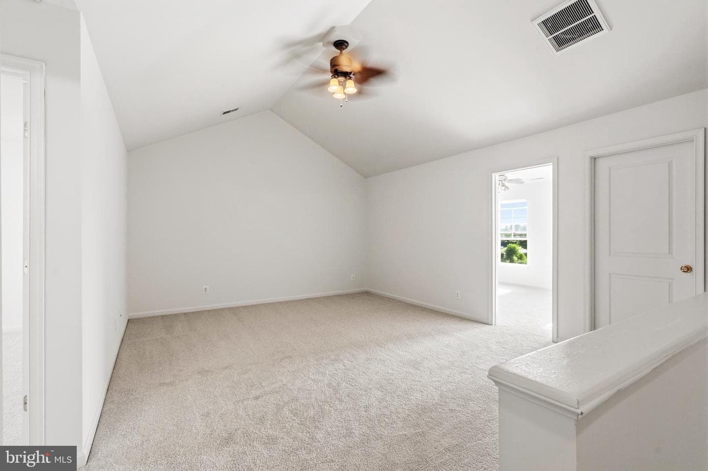 9227 Ribbon Falls Loop photo 45