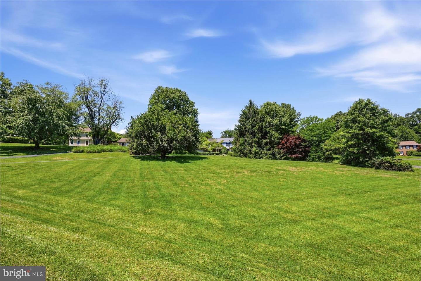 4556 Lawnvale Drive photo 33