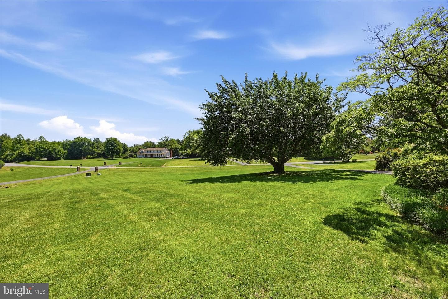 4556 Lawnvale Drive photo 34