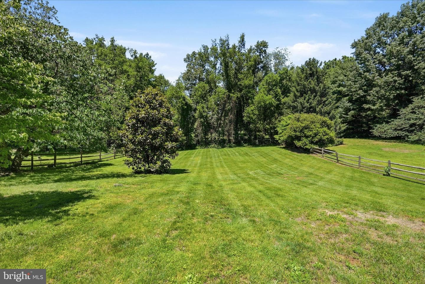 4556 Lawnvale Drive photo 35