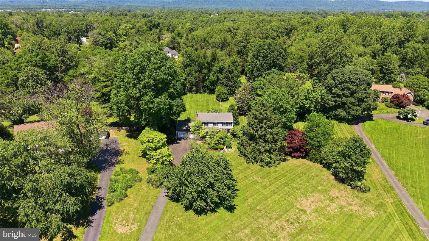 4556 Lawnvale Drive photo 40