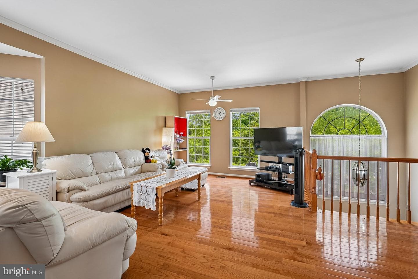 6725 Emmanuel Court photo 21