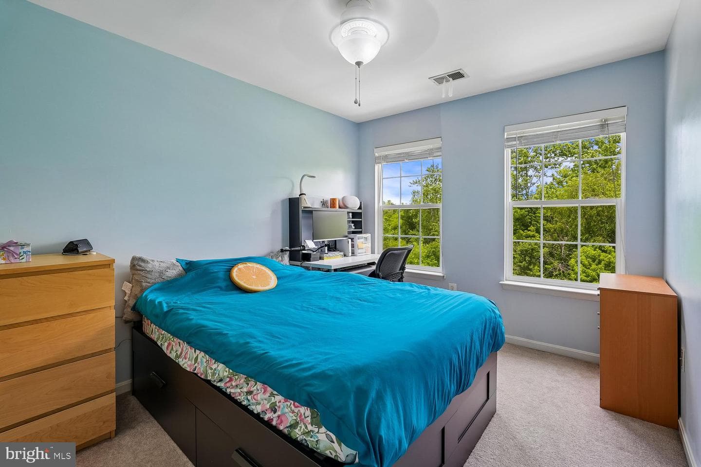 6725 Emmanuel Court photo 36