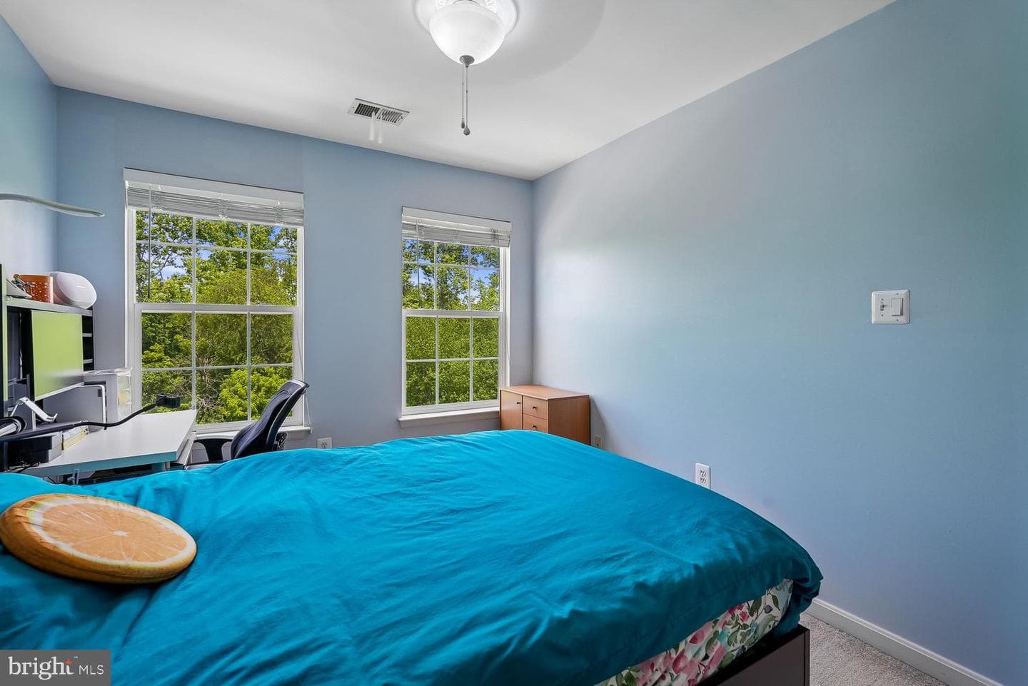 6725 Emmanuel Court photo 37