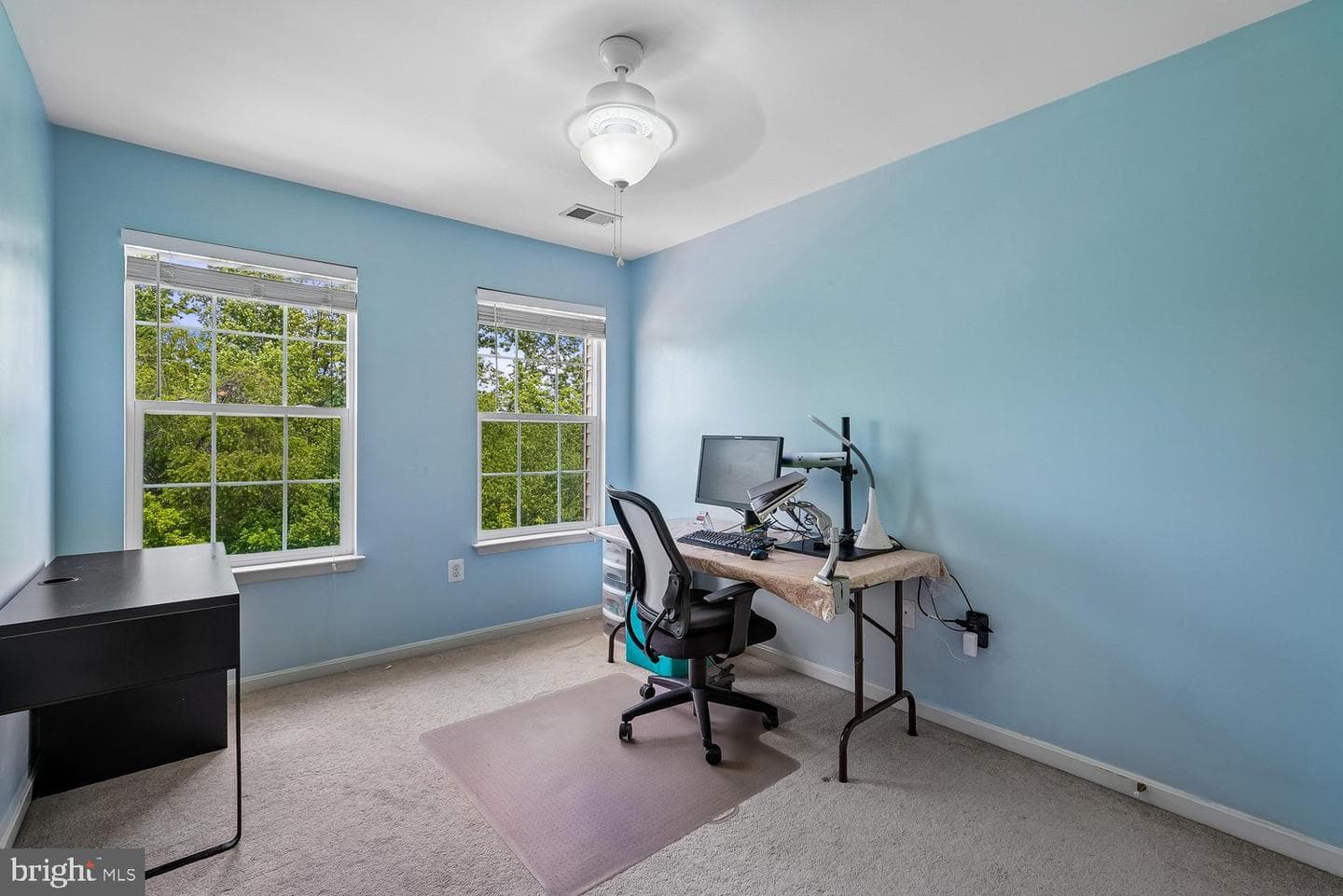 6725 Emmanuel Court photo 39