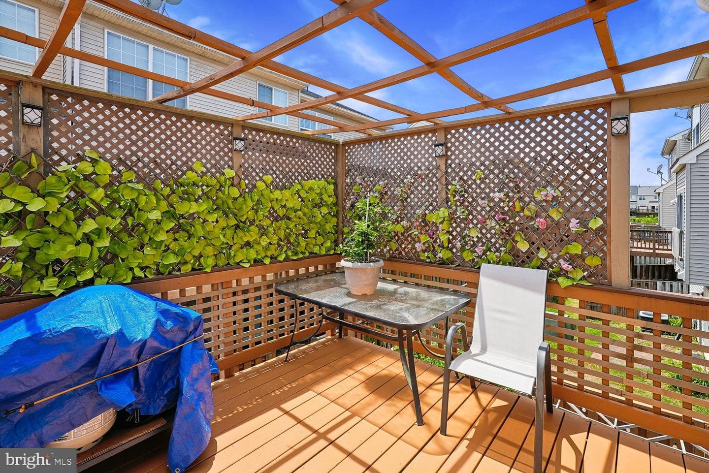6725 Emmanuel Court photo 49