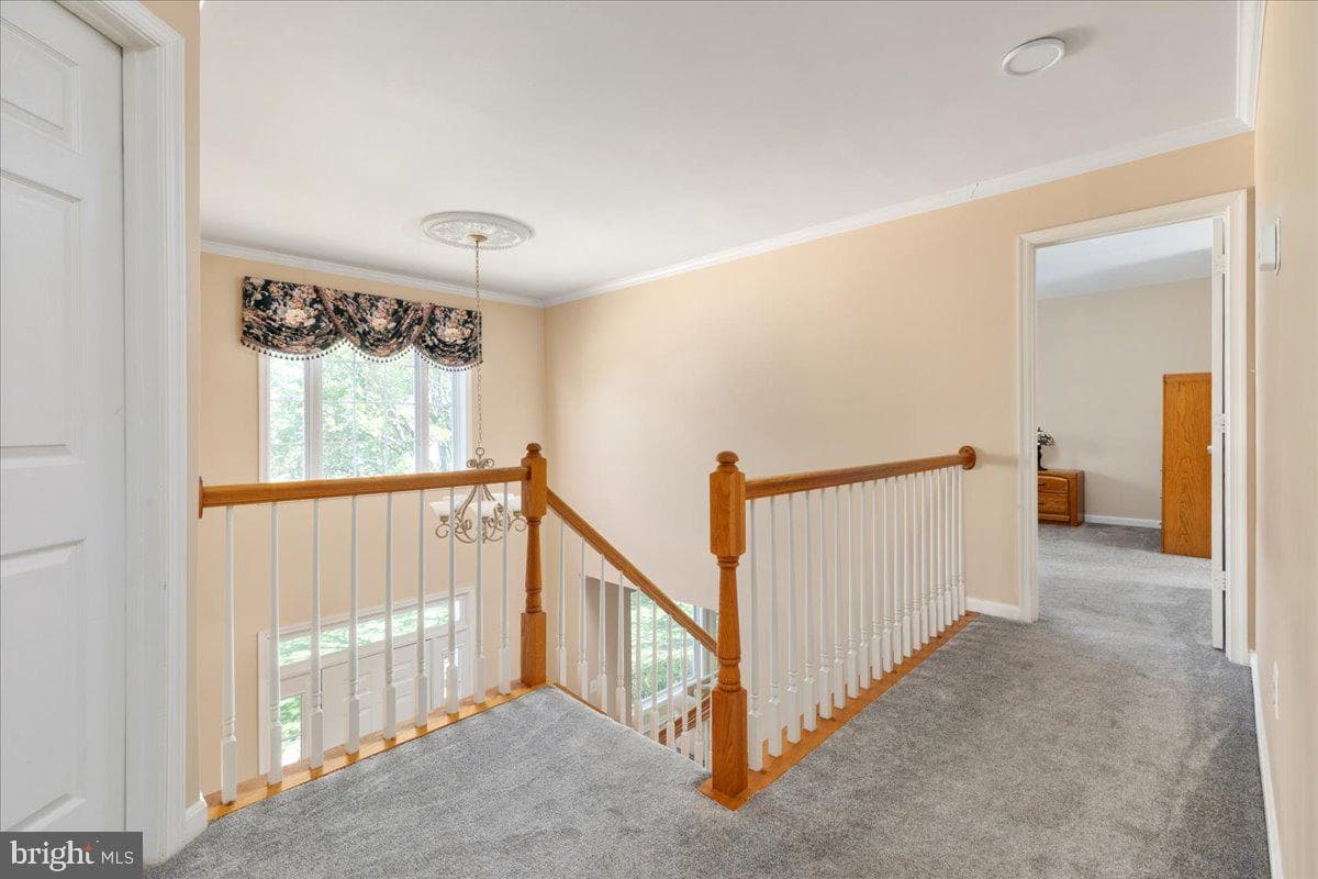 13659 Bridlewood Drive photo 26
