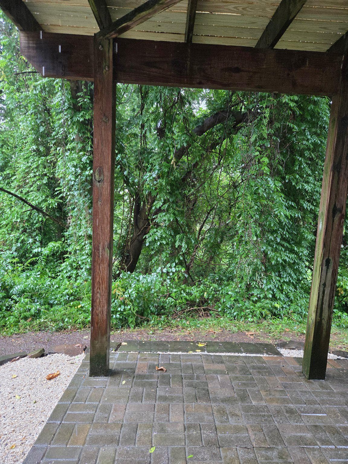 1765 Rochelle Court photo 25