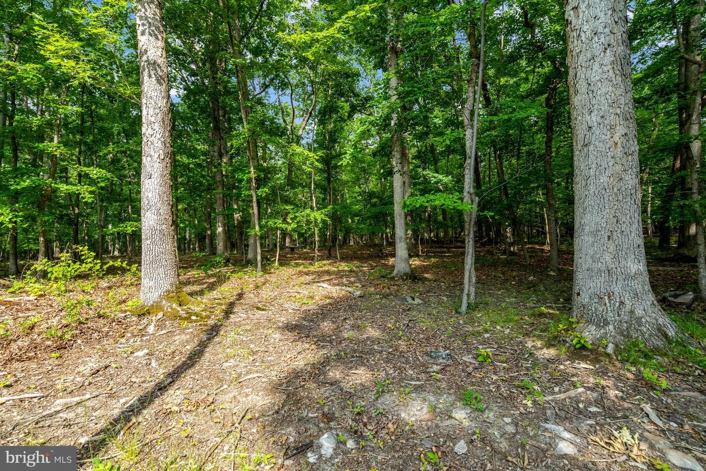 3400 Mountain Road photo 55