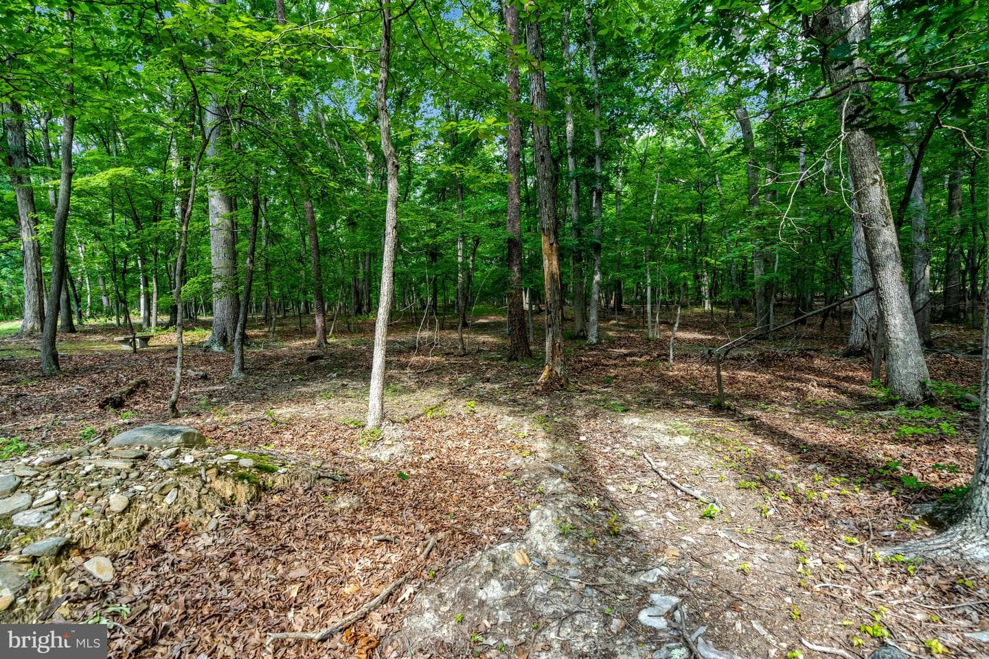 3400 Mountain Road photo 58