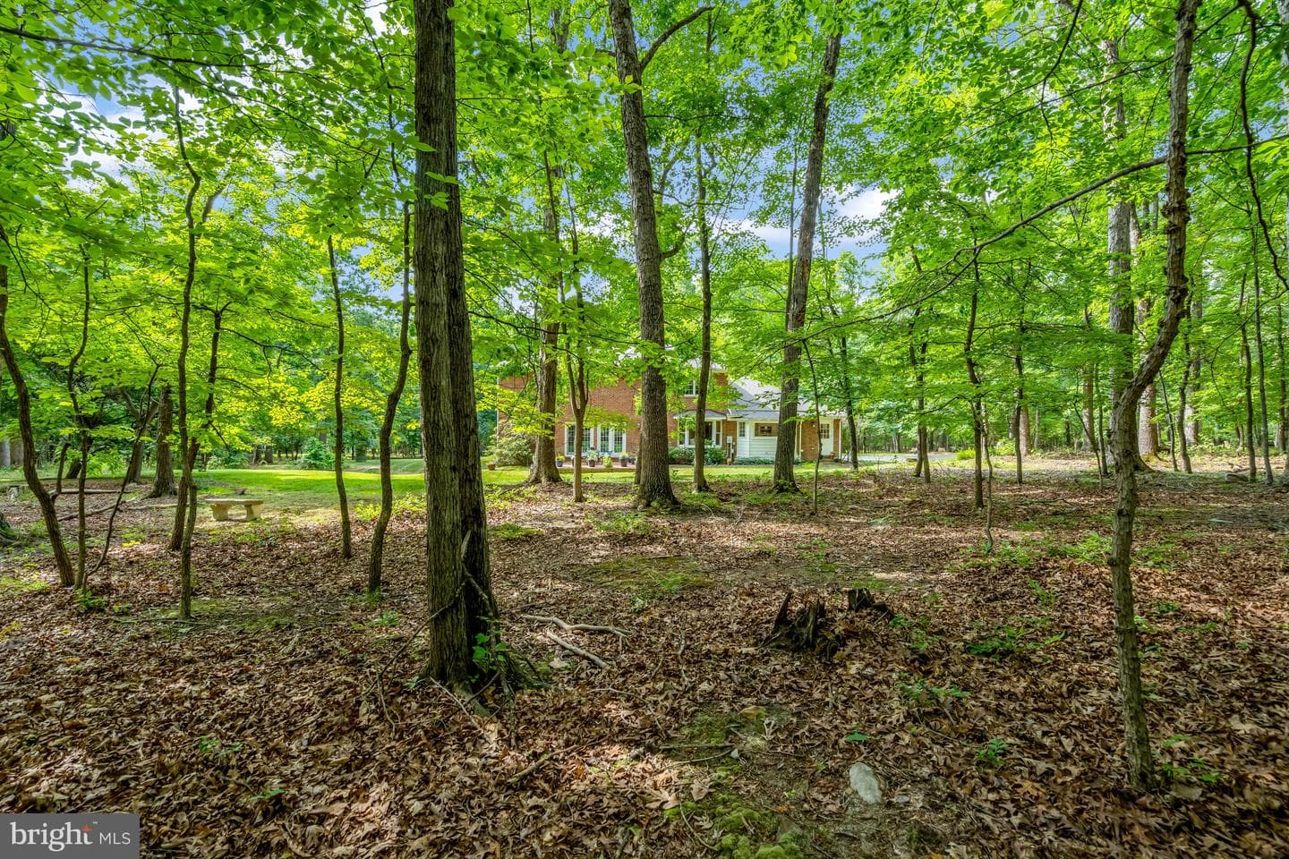 3400 Mountain Road photo 60