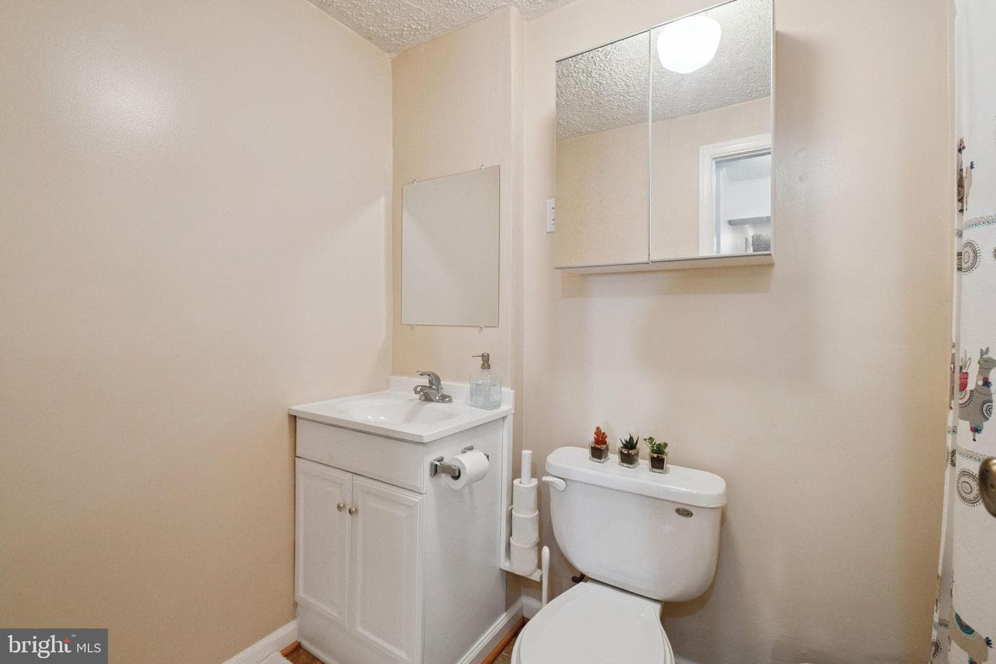 15057 Mill Spring Dr photo 18