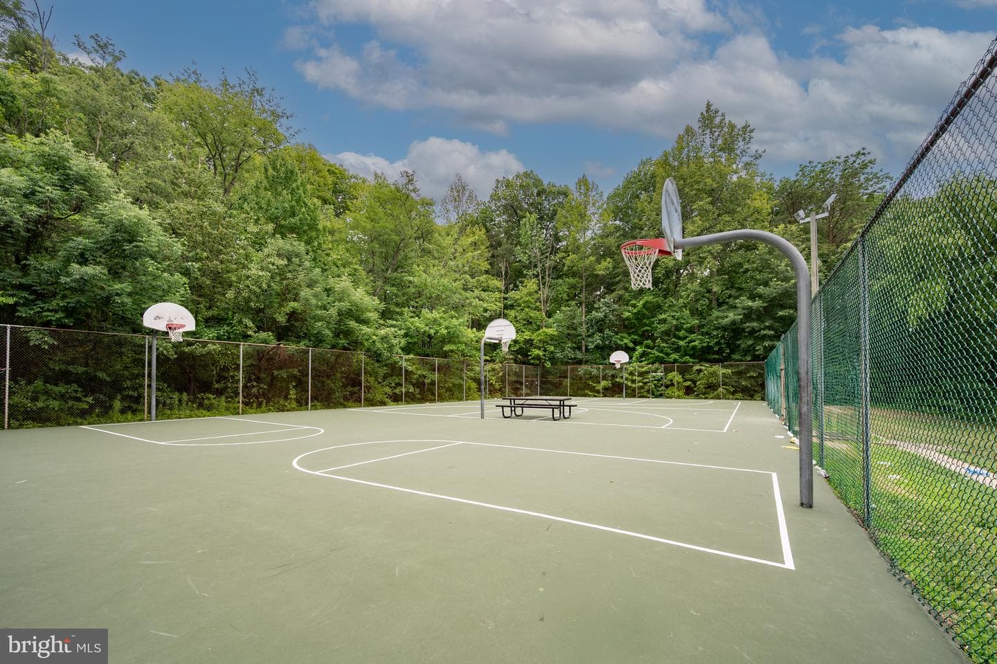 15389 Grist Mill Terrace photo 49