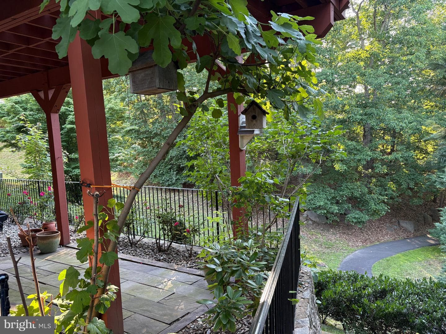12232 Farmberry Court photo 3