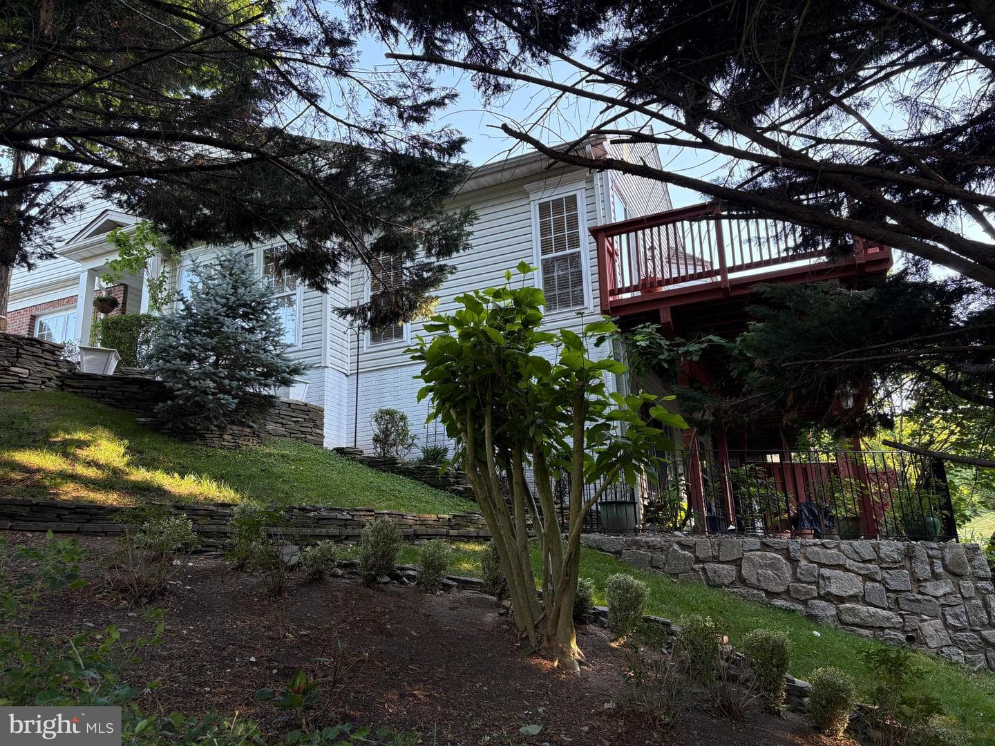 12232 Farmberry Court photo 5