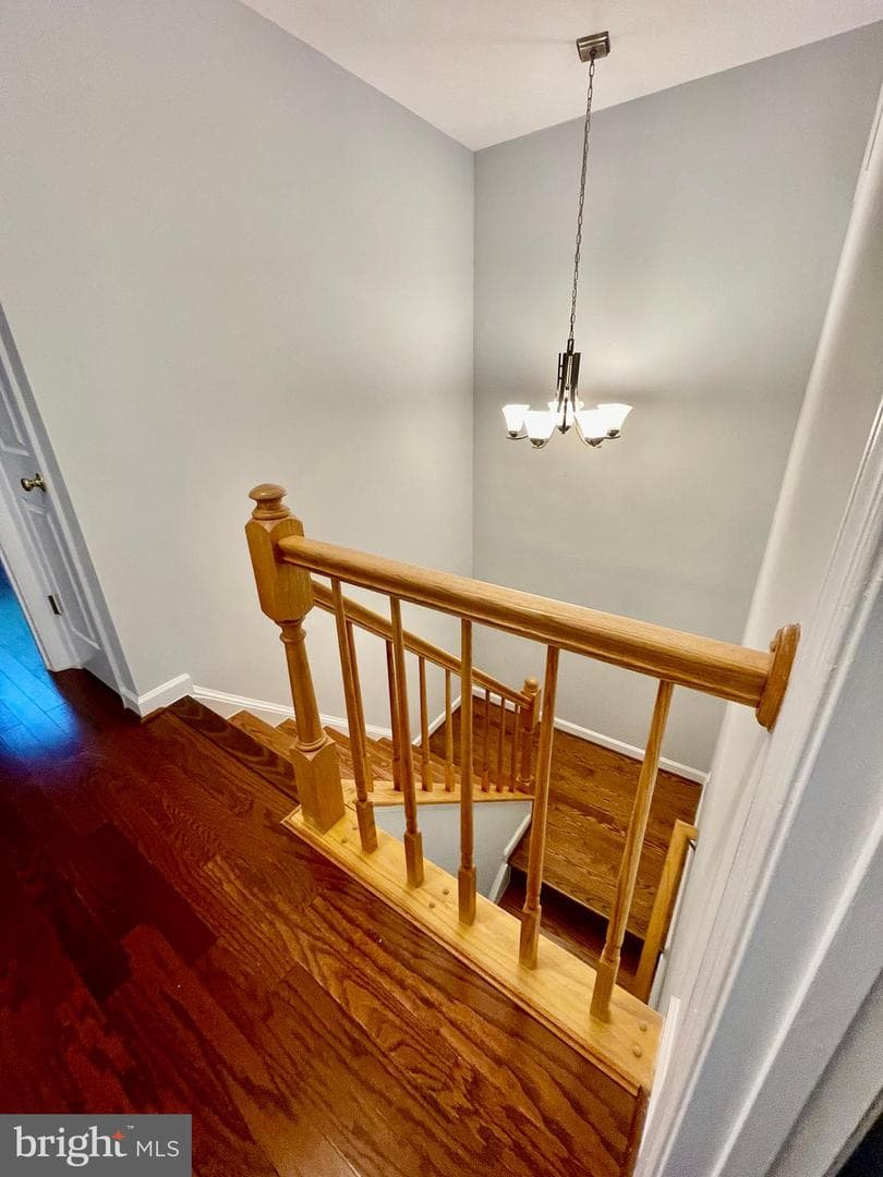 4109 Plymbridge Lane photo 31