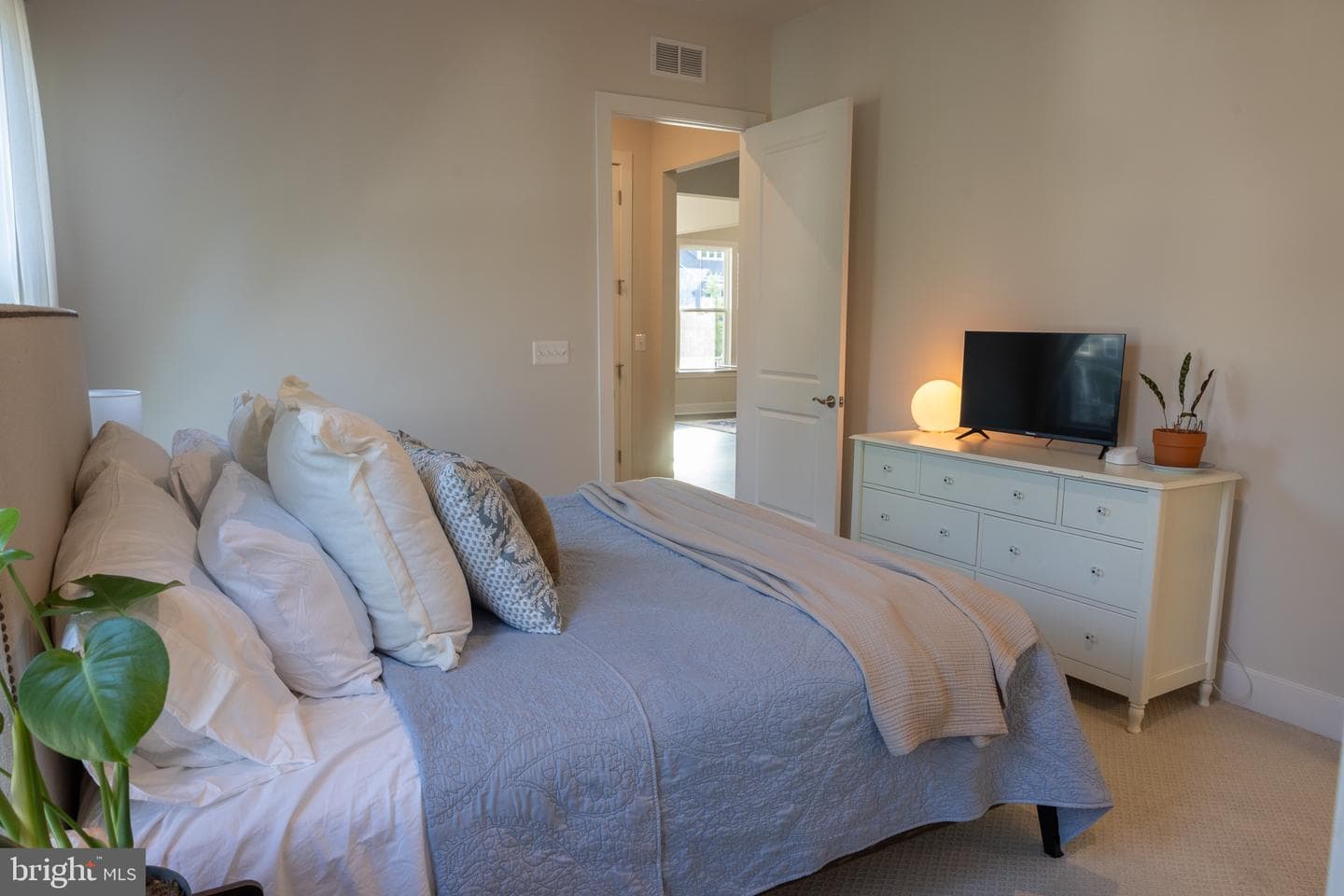 8708 Classic Lakes Way photo 49