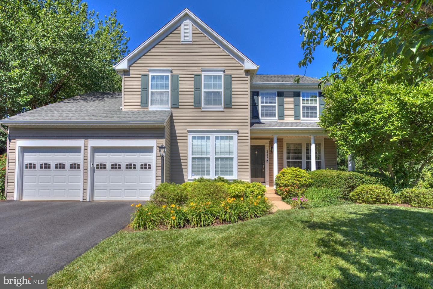 9739 Allegro Drive photo 3