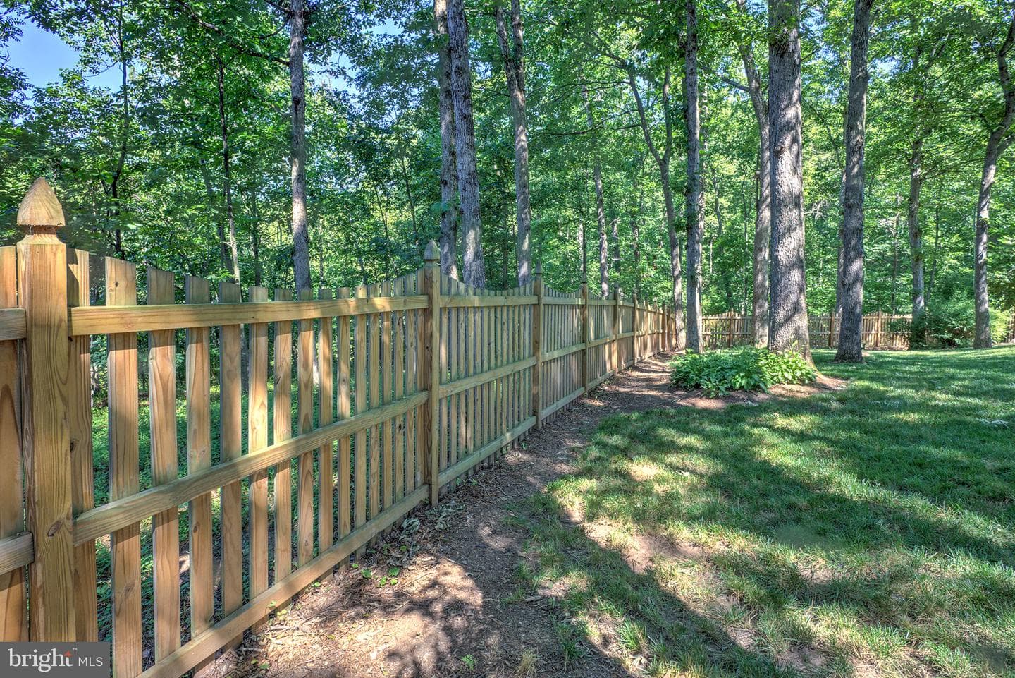 9739 Allegro Drive photo 57