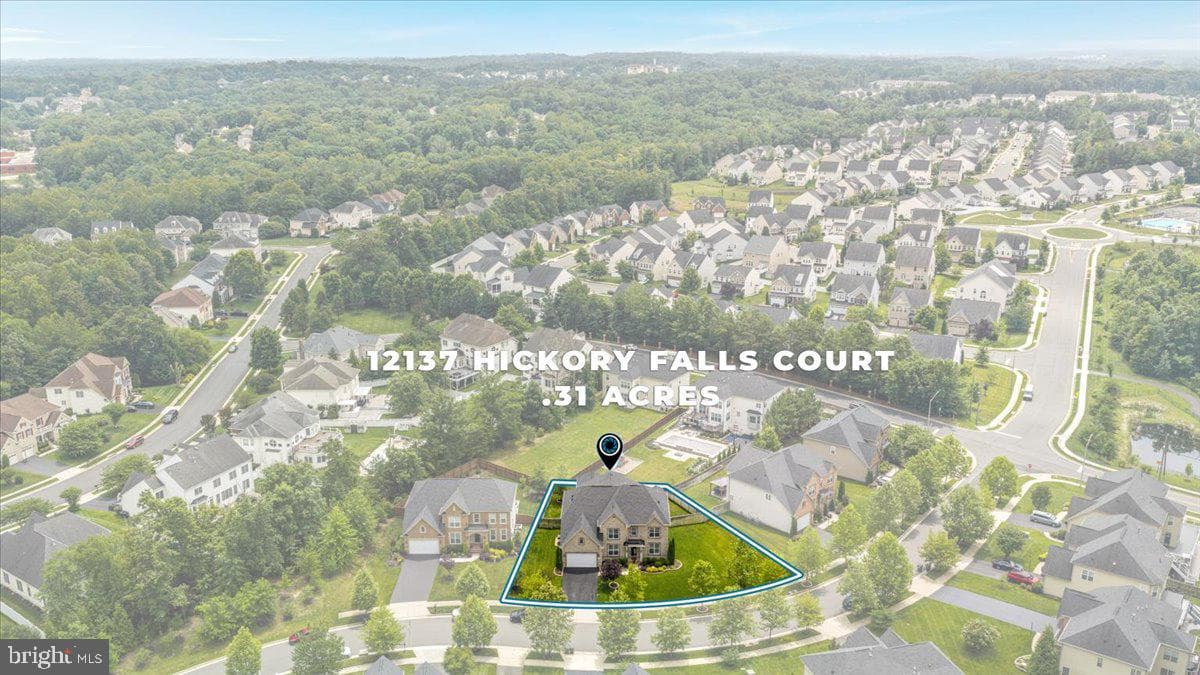12137 Hickory Falls Court photo 4