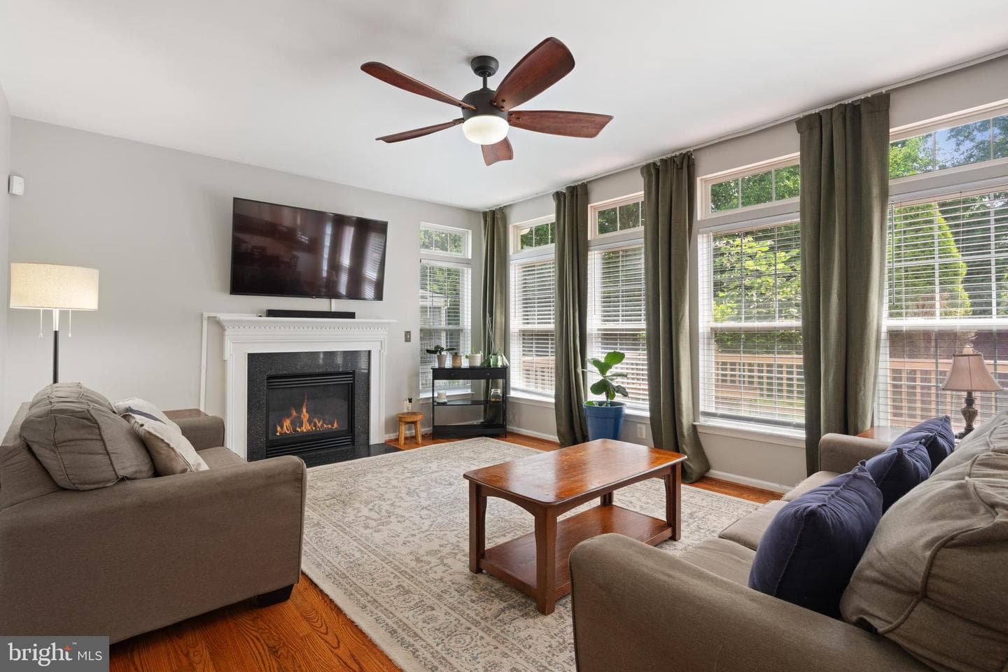 10065 Tummel Falls Drive photo 17