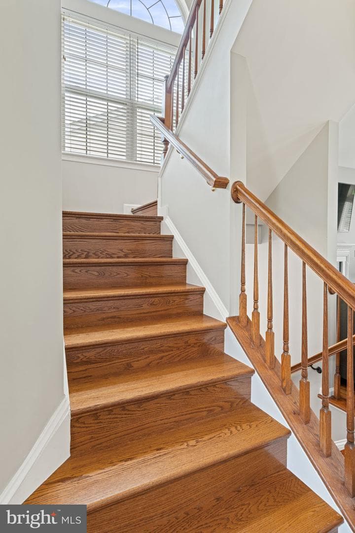 10065 Tummel Falls Drive photo 19