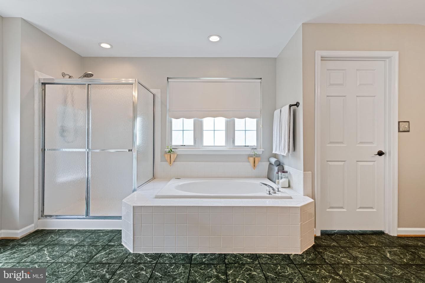 10065 Tummel Falls Drive photo 23