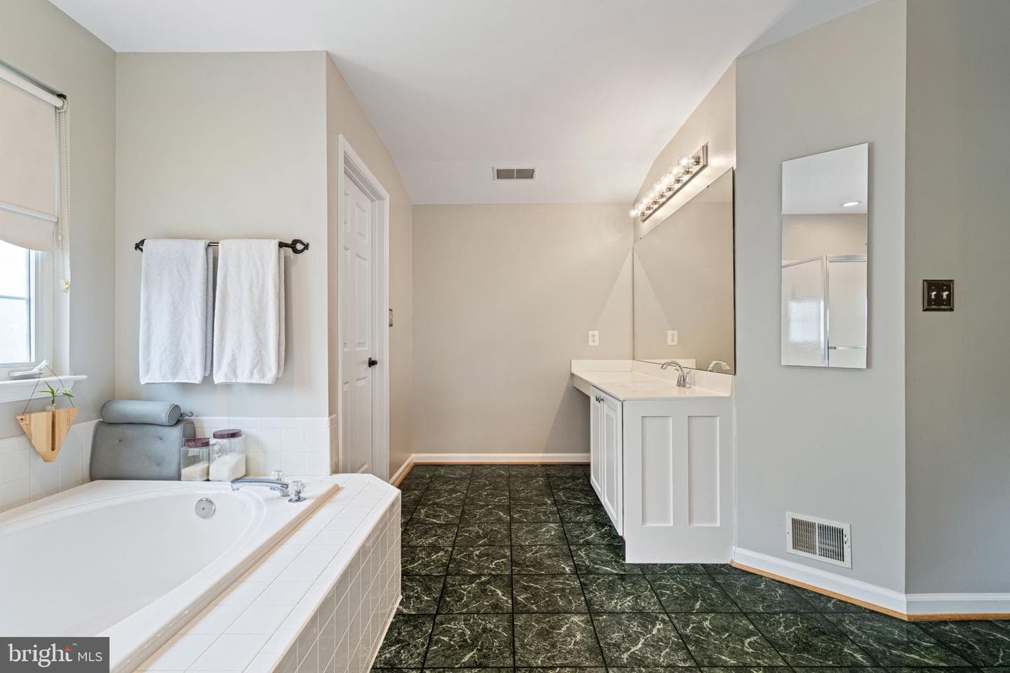 10065 Tummel Falls Drive photo 24