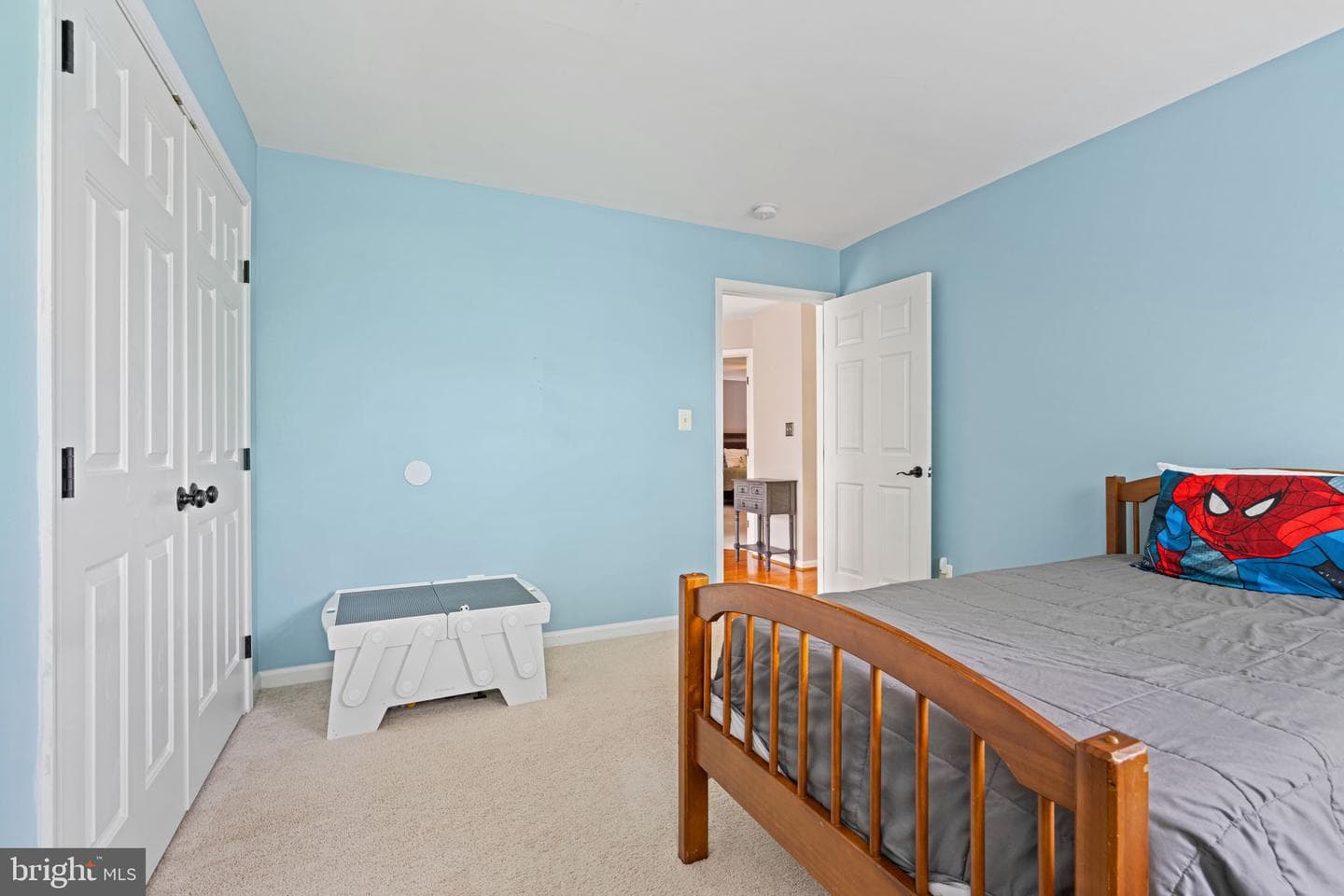 10065 Tummel Falls Drive photo 26