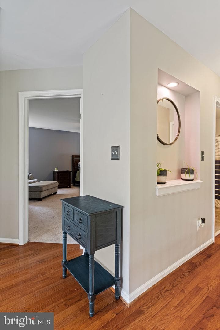10065 Tummel Falls Drive photo 31