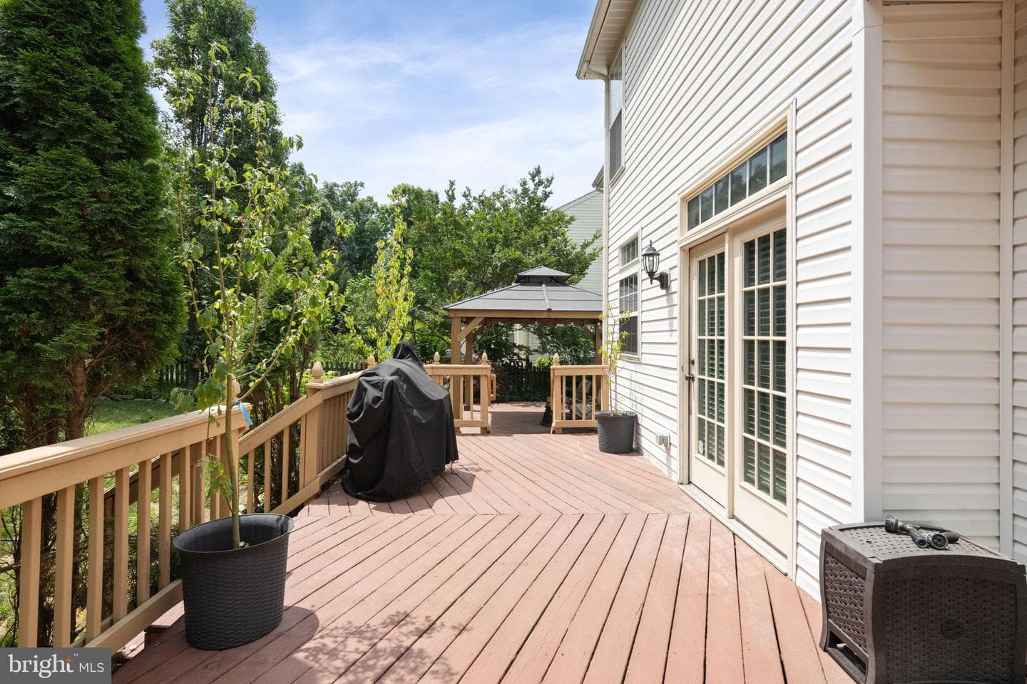 10065 Tummel Falls Drive photo 45