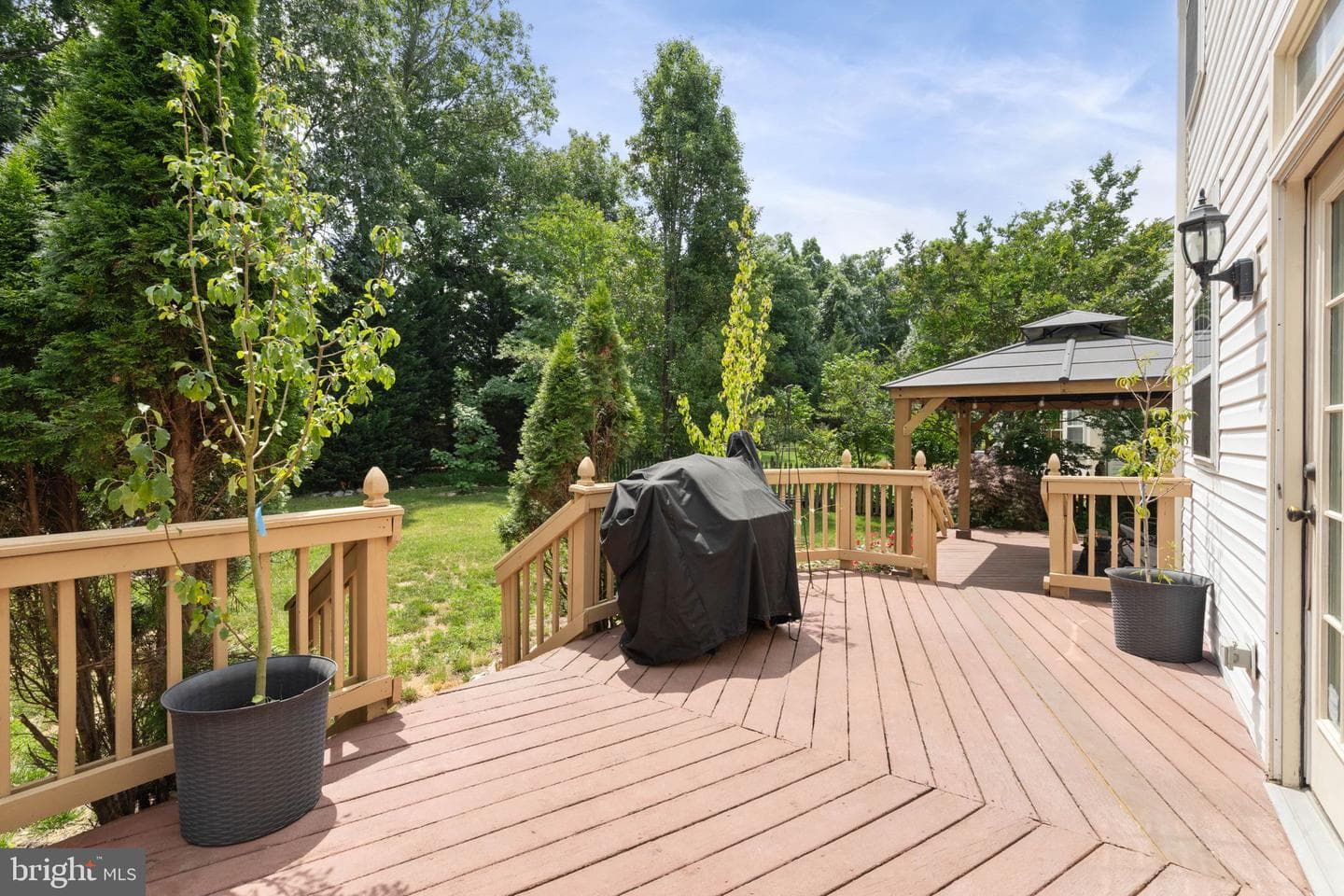 10065 Tummel Falls Drive photo 46