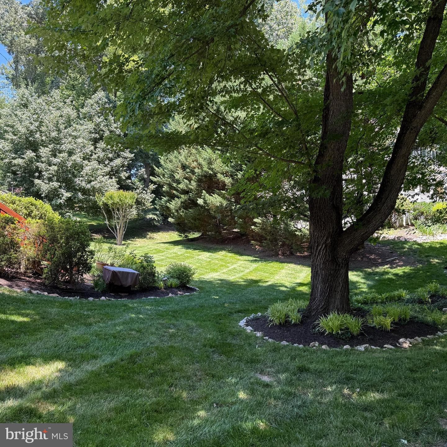 12207 Knightsbridge Drive photo 50