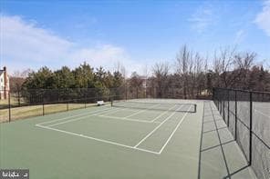 5219 Armour Court photo 59