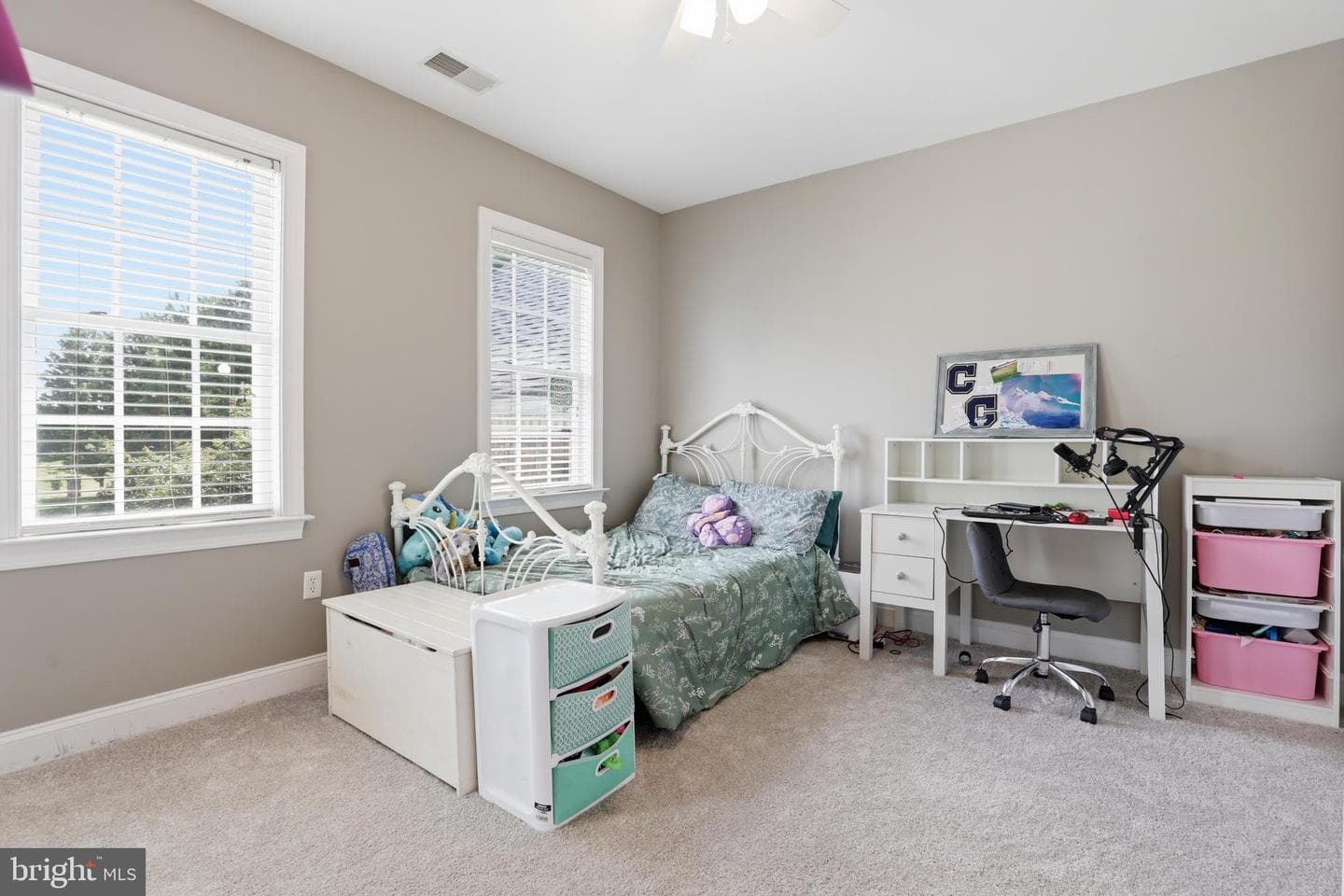 10601 Ausley Court photo 41